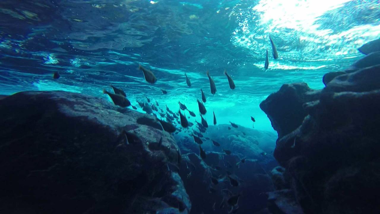 Saipan Well House Ξενοδοχείο Εξωτερικό φωτογραφία